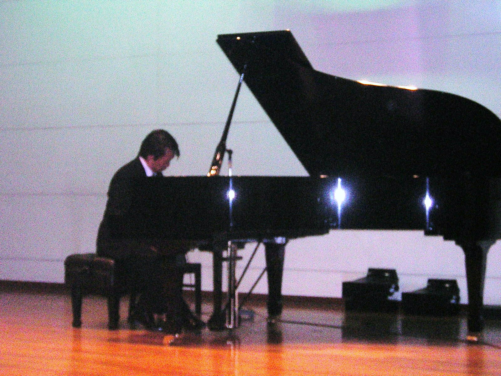 2010-12ステップ５.JPG