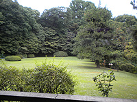 大使館の中庭は美しい日本庭園です