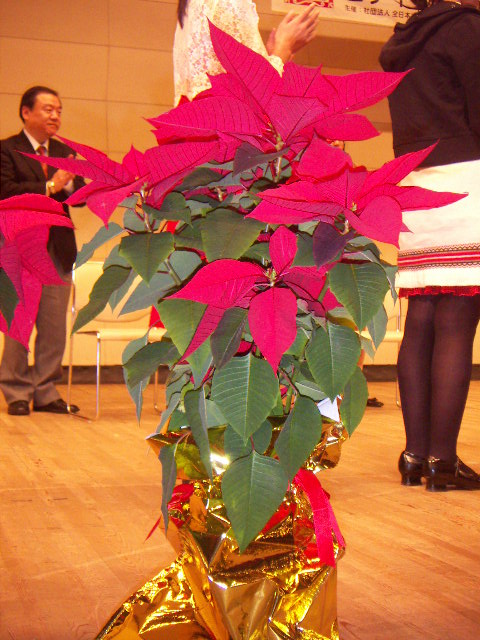 PICT0172.JPG
