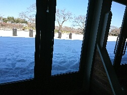 20180125_7.JPG
