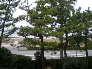DSCN0647p.JPG