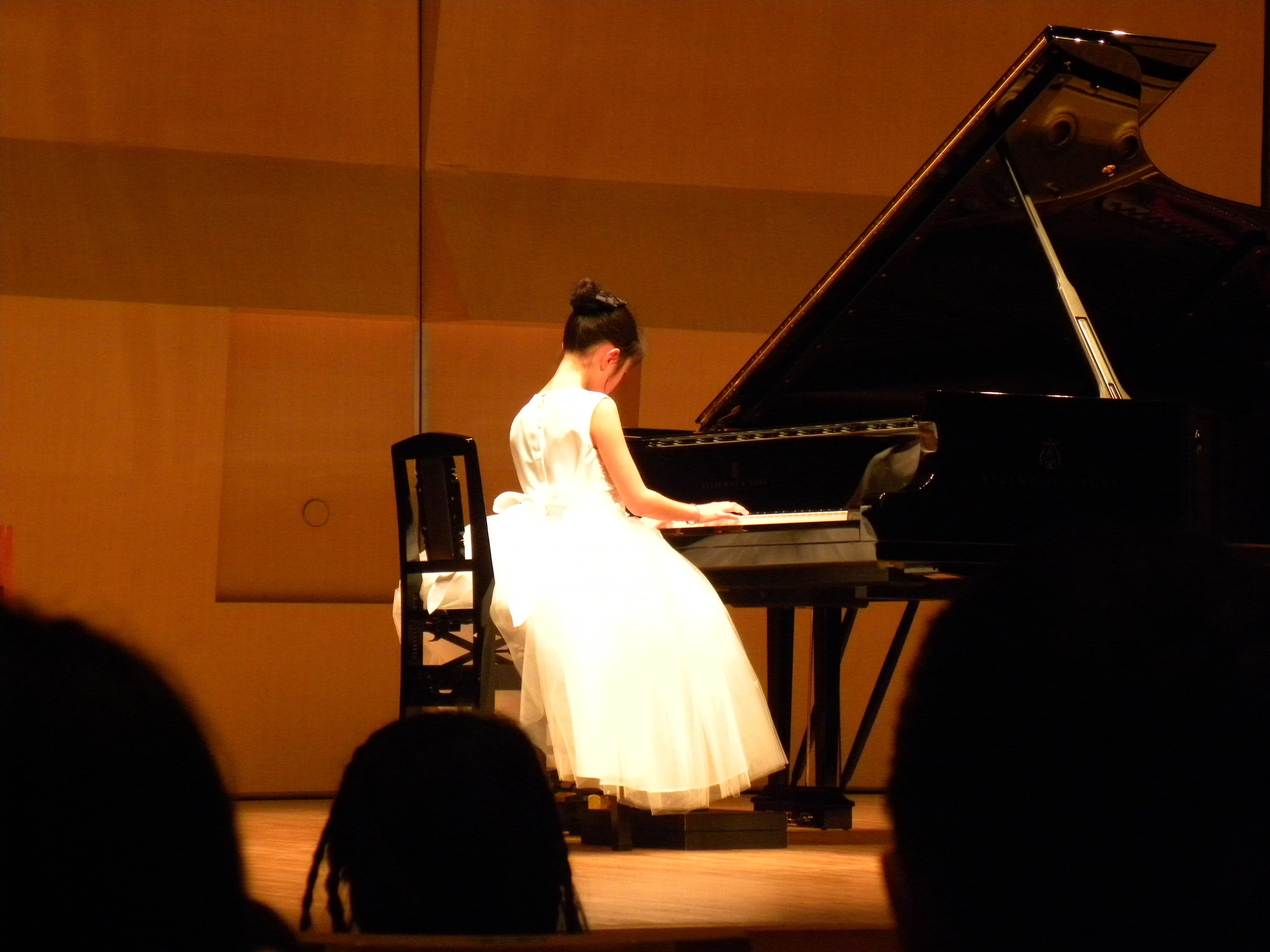 2010stepkouza 093.jpg