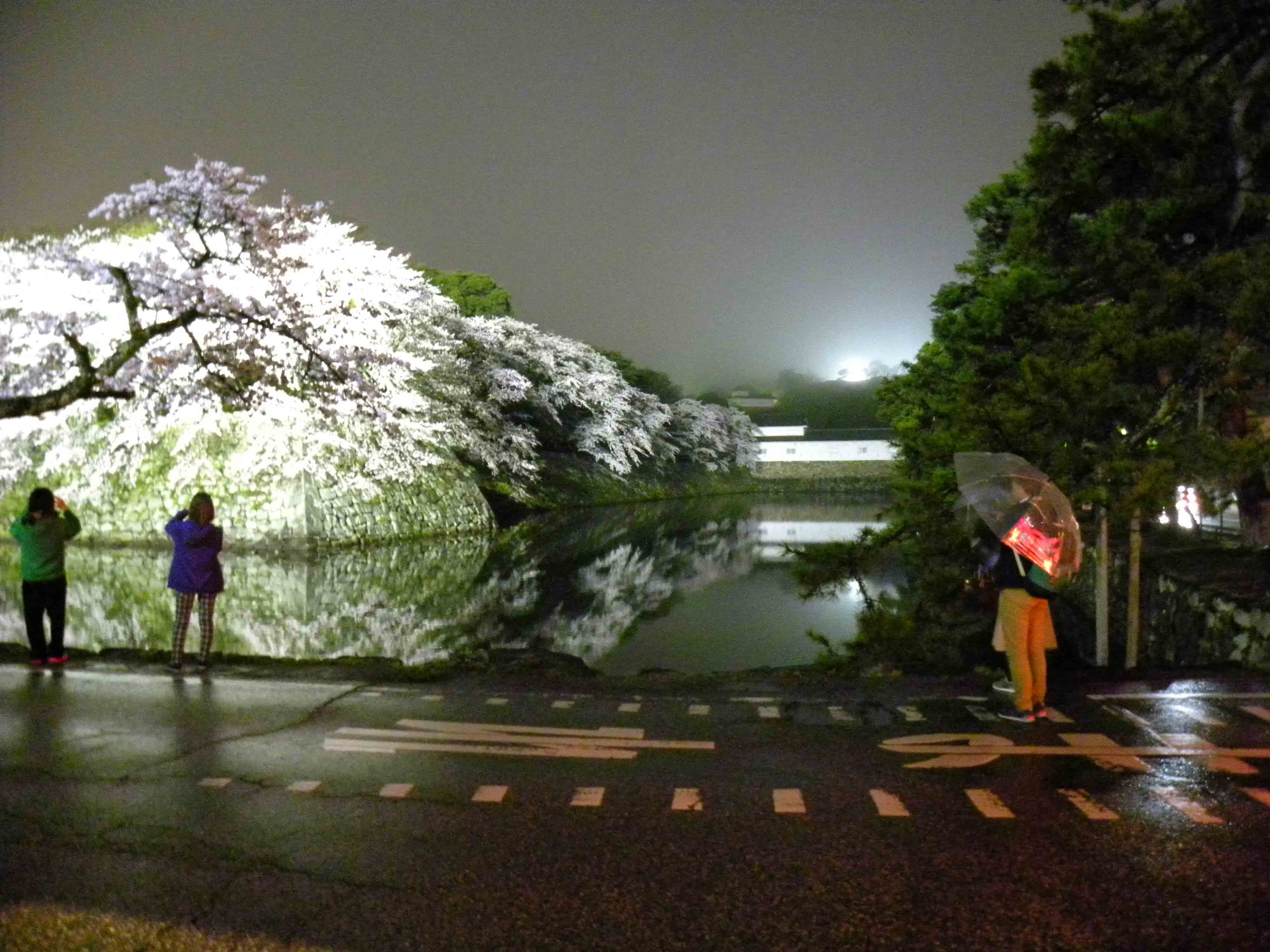 DSCN9703.jpg