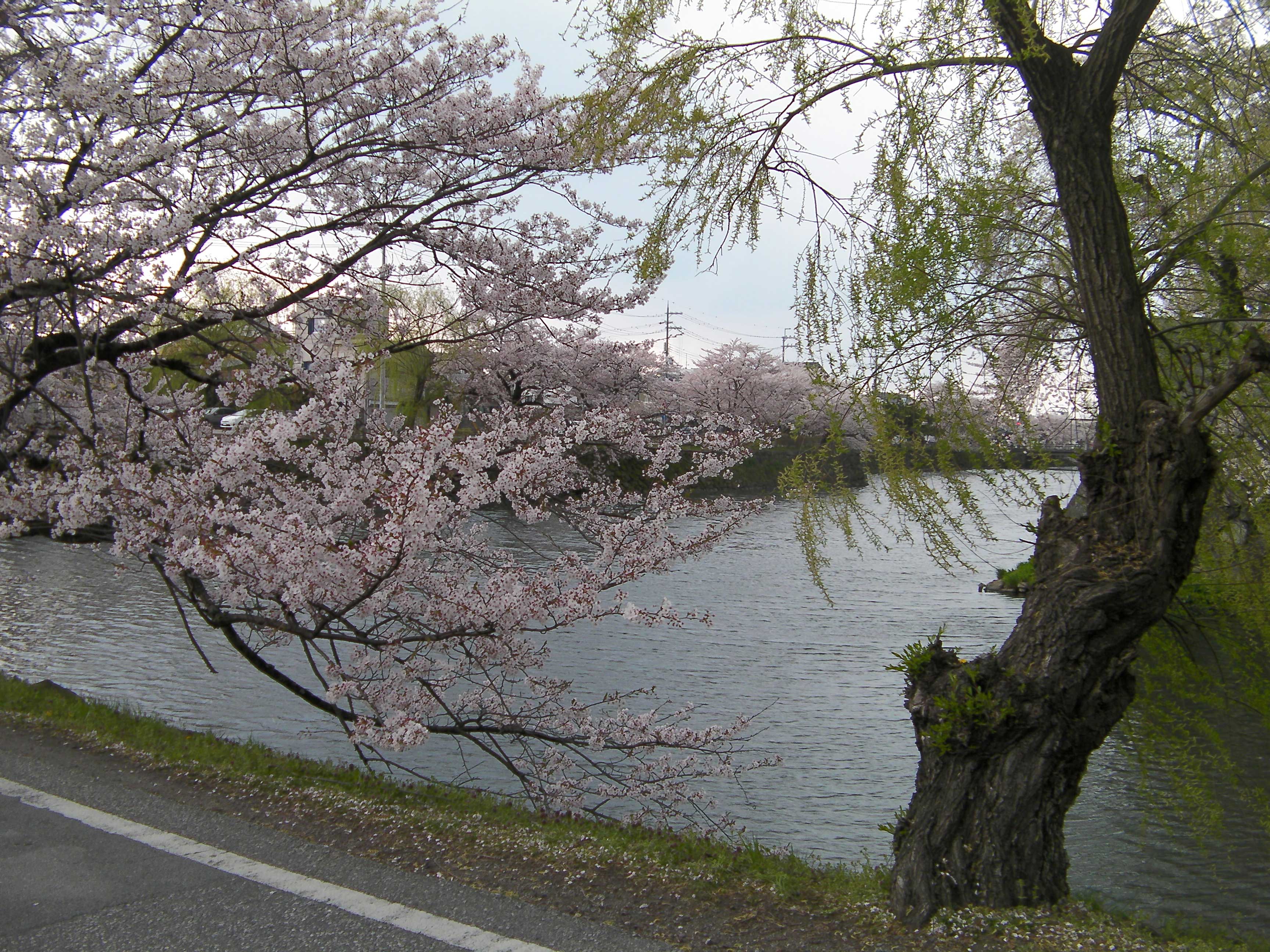 yokoso0108.jpg