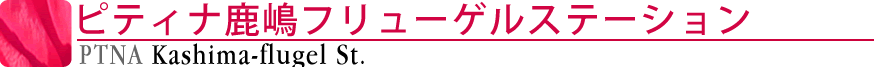 ピティナ鹿嶋フリューゲルステーション