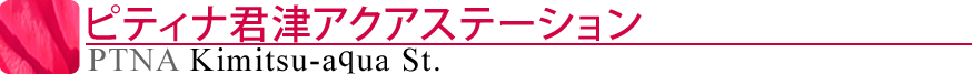 ピティナ君津アクアステーション