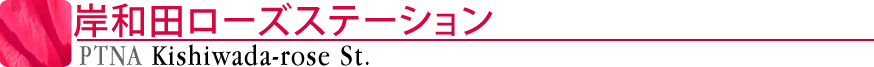 ピティナ岸和田ローズステーション