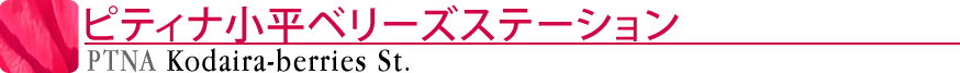 ピティナ小平ベリーズステーション