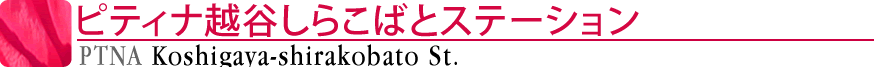 ピティナ越谷しらこばとステーション