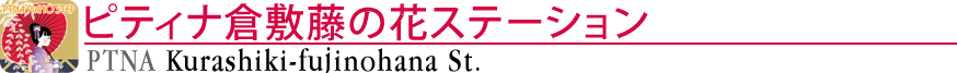 ピティナ倉敷藤の花ステーション