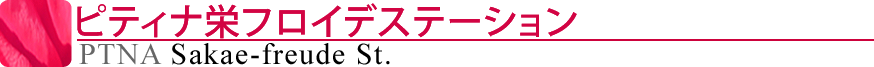 ピティナ栄フロイデステーション