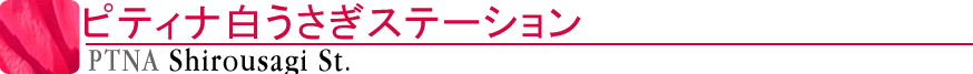 ピティナ白うさぎステーション