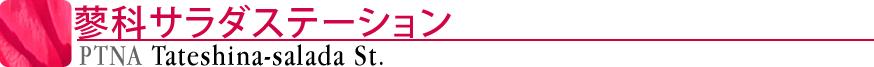 ピティナ蓼科サラダステーション