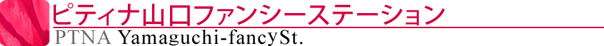 ピティナ山口ファンシーステーション