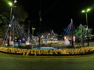 JR木下駅のイルミネーション.jpg
