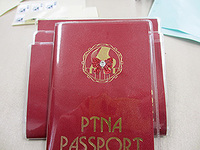 2013碧南ステップ