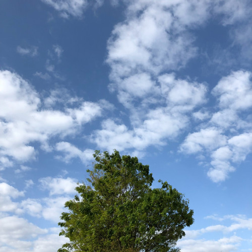 2018042001.jpg