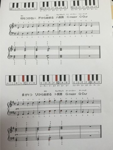o0480036013437761120.jpg
