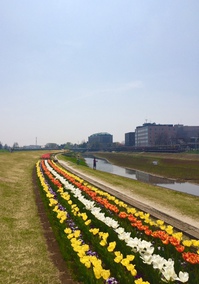 image1.jpeg