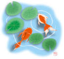 金魚.jpg