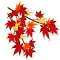 momiji-illustichiba-120x120.jpg