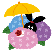 pyoko6_ajisai.png